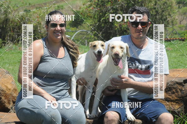 Buy your photos of the eventEnsaio Fotografico Pets - LuClickPets - Fotografia de Animais on Fotop