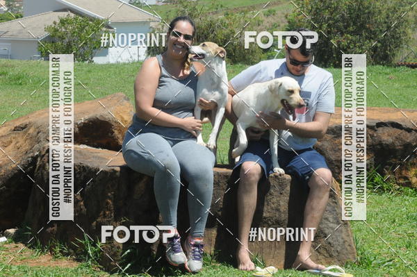 Buy your photos of the eventEnsaio Fotografico Pets - LuClickPets - Fotografia de Animais on Fotop