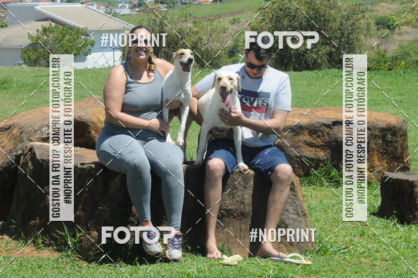 Buy your photos of the eventEnsaio Fotografico Pets - LuClickPets - Fotografia de Animais on Fotop