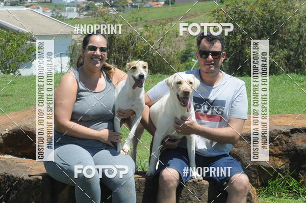 Buy your photos of the eventEnsaio Fotografico Pets - LuClickPets - Fotografia de Animais on Fotop