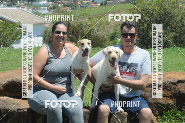 Buy your photos of the eventEnsaio Fotografico Pets - LuClickPets - Fotografia de Animais on Fotop