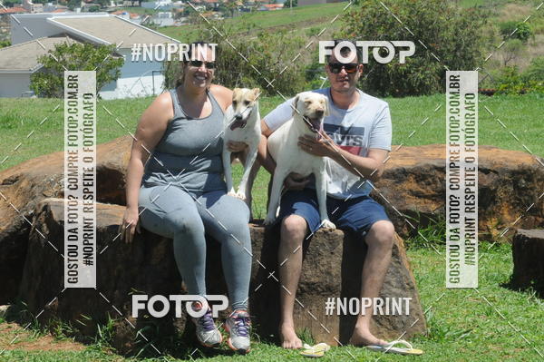 Buy your photos of the eventEnsaio Fotografico Pets - LuClickPets - Fotografia de Animais on Fotop