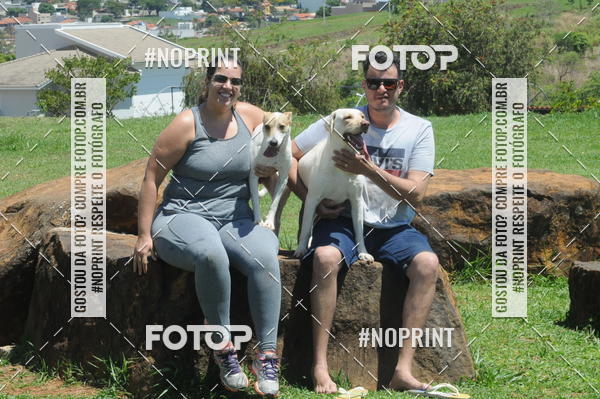 Buy your photos of the eventEnsaio Fotografico Pets - LuClickPets - Fotografia de Animais on Fotop