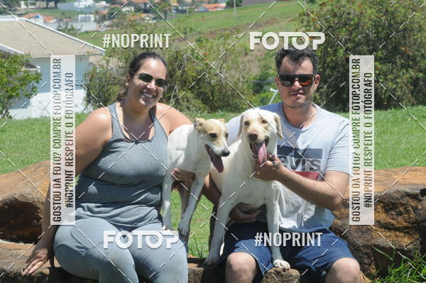 Buy your photos of the eventEnsaio Fotografico Pets - LuClickPets - Fotografia de Animais on Fotop