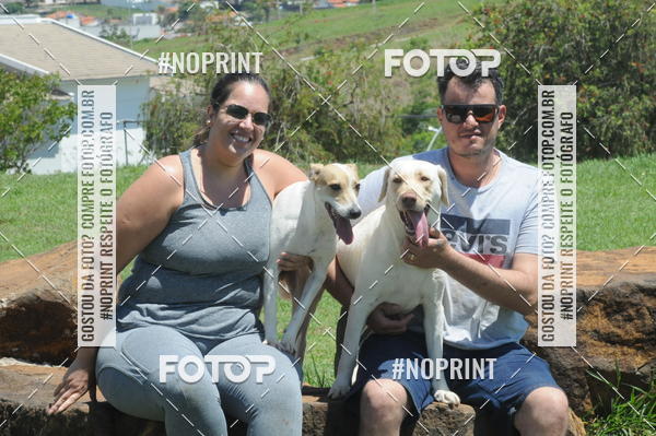 Buy your photos of the eventEnsaio Fotografico Pets - LuClickPets - Fotografia de Animais on Fotop