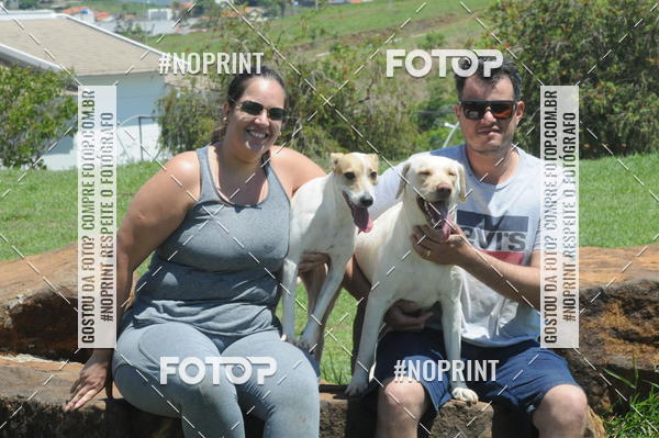 Buy your photos of the eventEnsaio Fotografico Pets - LuClickPets - Fotografia de Animais on Fotop