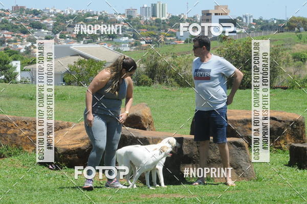 Buy your photos of the eventEnsaio Fotografico Pets - LuClickPets - Fotografia de Animais on Fotop