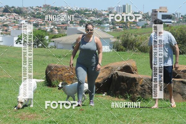 Buy your photos of the eventEnsaio Fotografico Pets - LuClickPets - Fotografia de Animais on Fotop