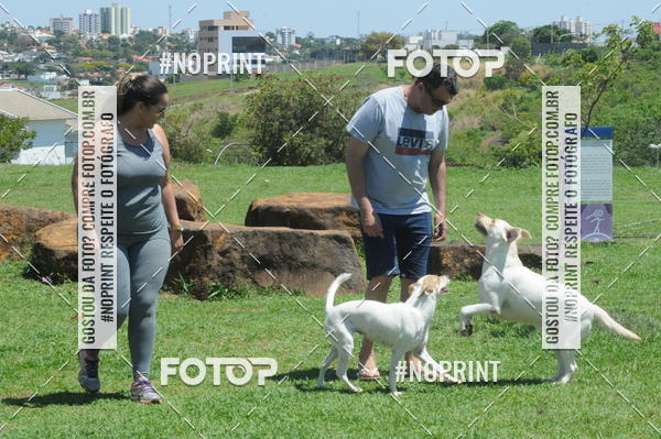Buy your photos of the eventEnsaio Fotografico Pets - LuClickPets - Fotografia de Animais on Fotop