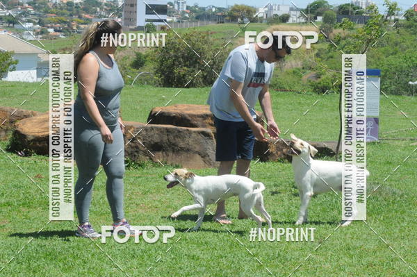 Buy your photos of the eventEnsaio Fotografico Pets - LuClickPets - Fotografia de Animais on Fotop