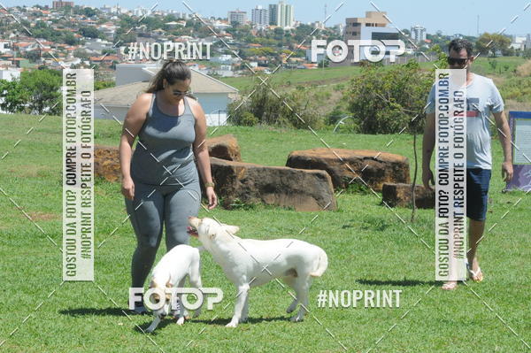 Buy your photos of the eventEnsaio Fotografico Pets - LuClickPets - Fotografia de Animais on Fotop