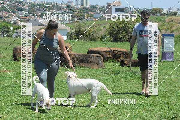 Buy your photos of the eventEnsaio Fotografico Pets - LuClickPets - Fotografia de Animais on Fotop