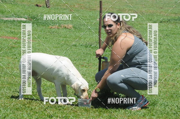 Buy your photos of the eventEnsaio Fotografico Pets - LuClickPets - Fotografia de Animais on Fotop