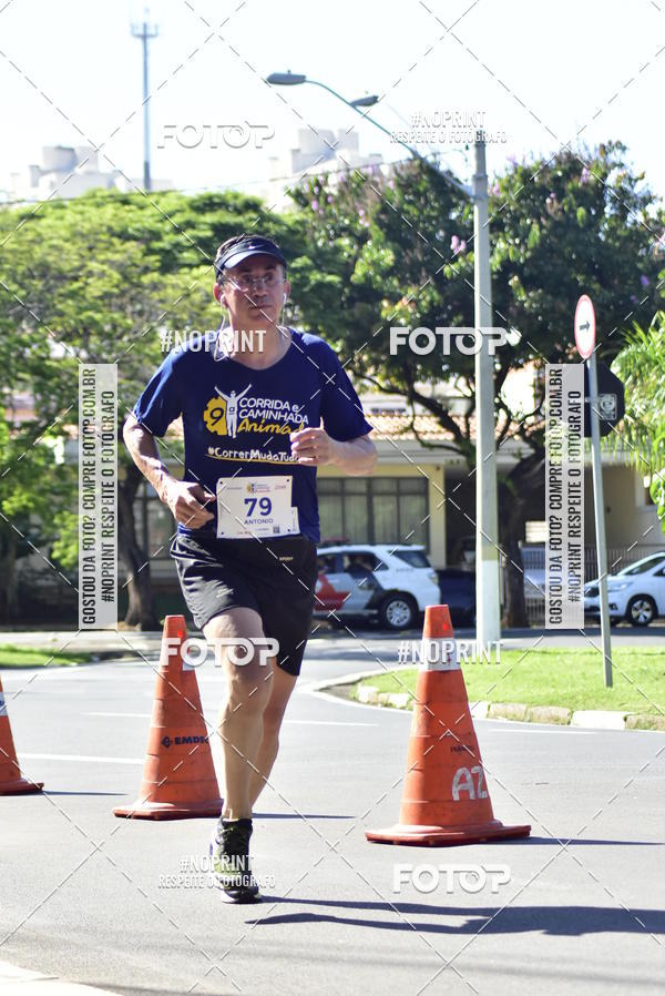 Buy your photos of the event9 Corrida e Caminhada Animada Hospitalhaos on Fotop
