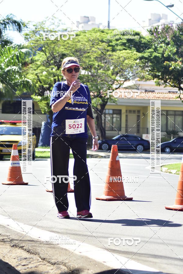 Buy your photos of the event9 Corrida e Caminhada Animada Hospitalhaos on Fotop