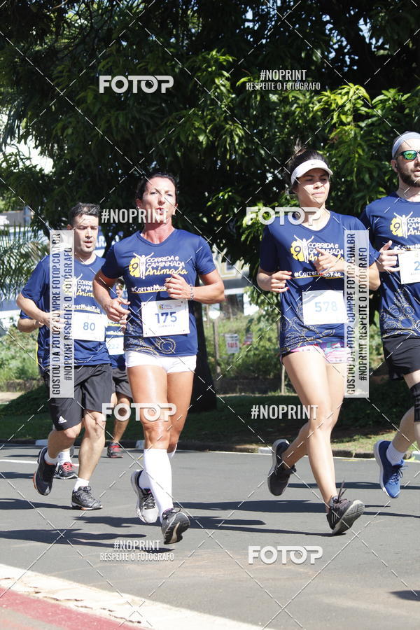 Buy your photos of the event9 Corrida e Caminhada Animada Hospitalhaos on Fotop