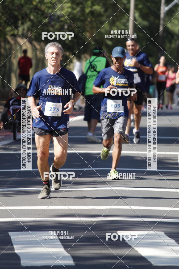 Buy your photos of the event9 Corrida e Caminhada Animada Hospitalhaos on Fotop