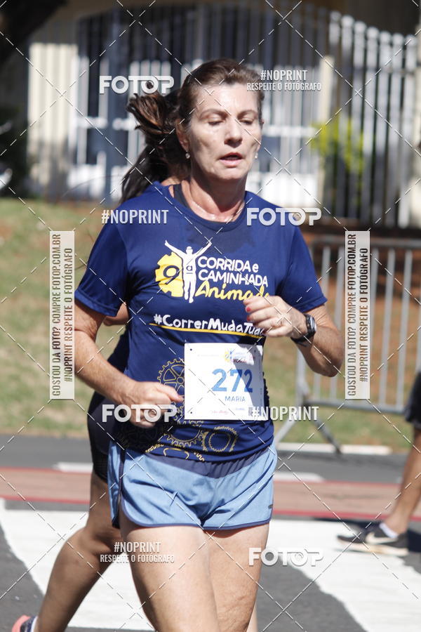 Buy your photos of the event9 Corrida e Caminhada Animada Hospitalhaos on Fotop