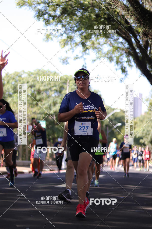 Buy your photos of the event9 Corrida e Caminhada Animada Hospitalhaos on Fotop