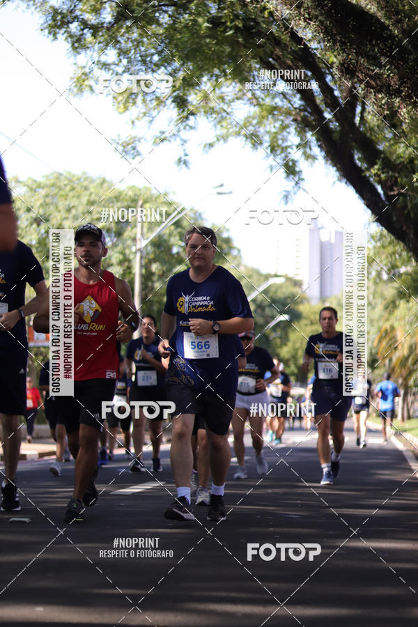 Buy your photos of the event9 Corrida e Caminhada Animada Hospitalhaos on Fotop