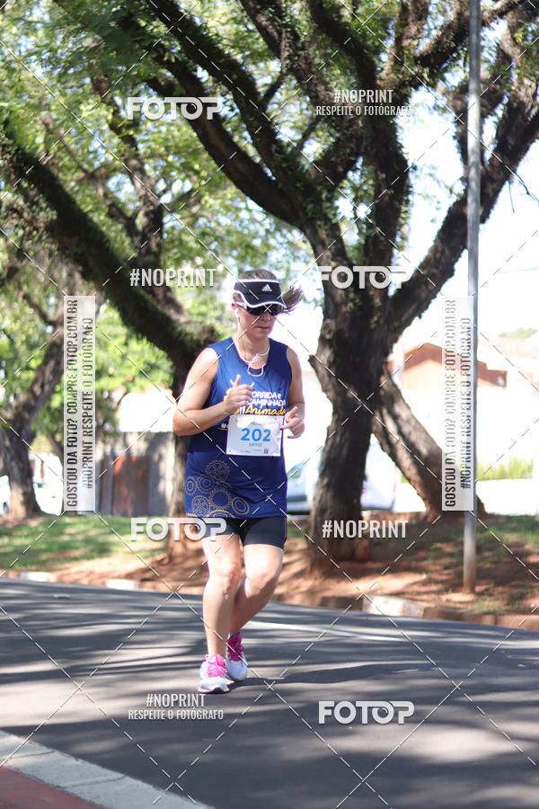 Buy your photos of the event9 Corrida e Caminhada Animada Hospitalhaos on Fotop