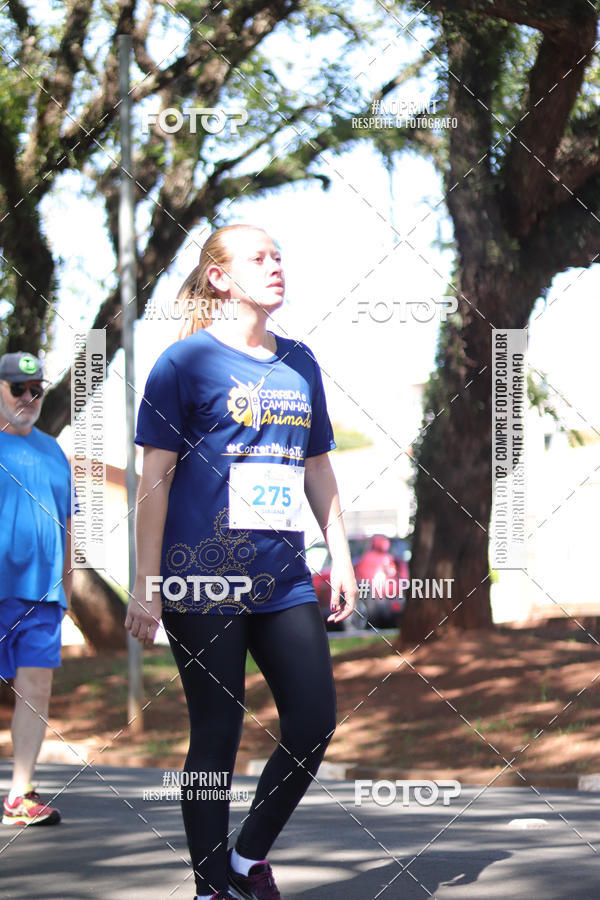Buy your photos of the event9 Corrida e Caminhada Animada Hospitalhaos on Fotop
