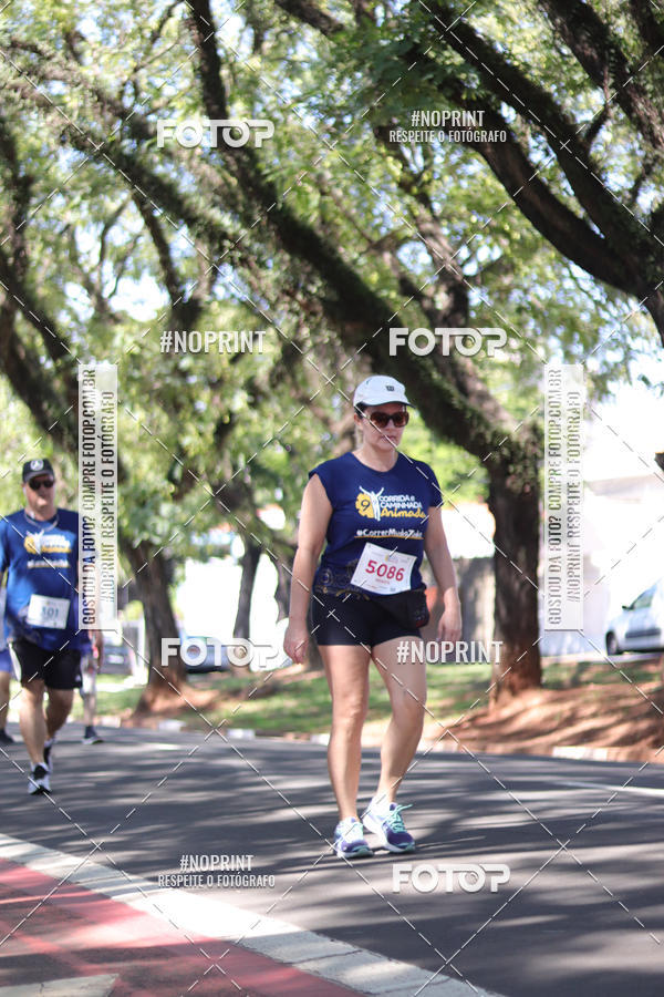 Buy your photos of the event9 Corrida e Caminhada Animada Hospitalhaos on Fotop