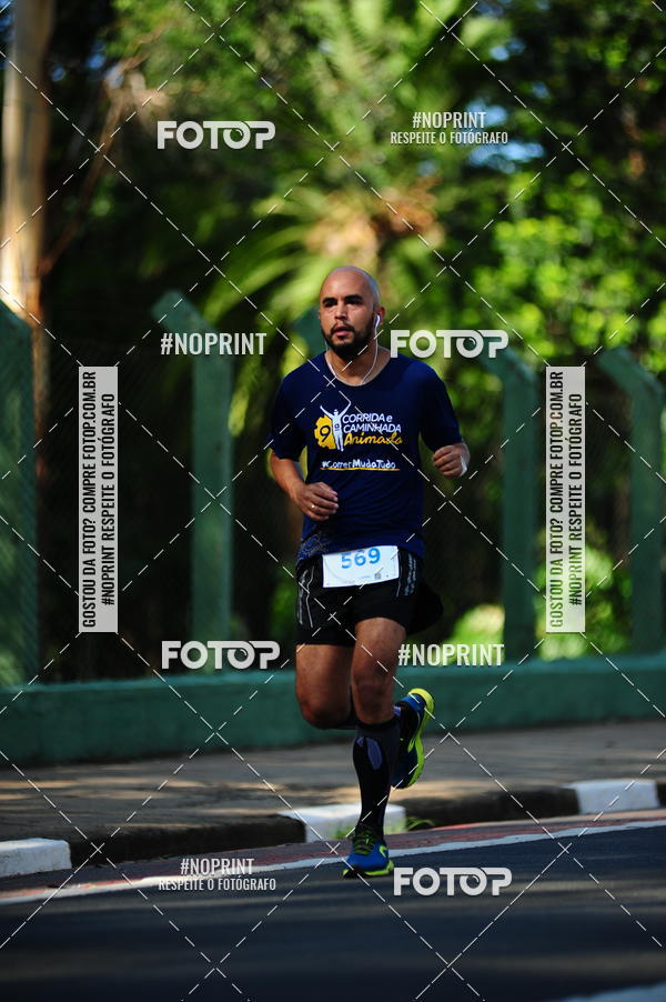 Buy your photos of the event9 Corrida e Caminhada Animada Hospitalhaos on Fotop