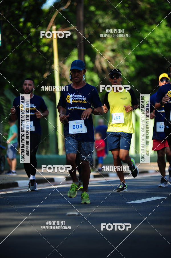 Buy your photos of the event9 Corrida e Caminhada Animada Hospitalhaos on Fotop