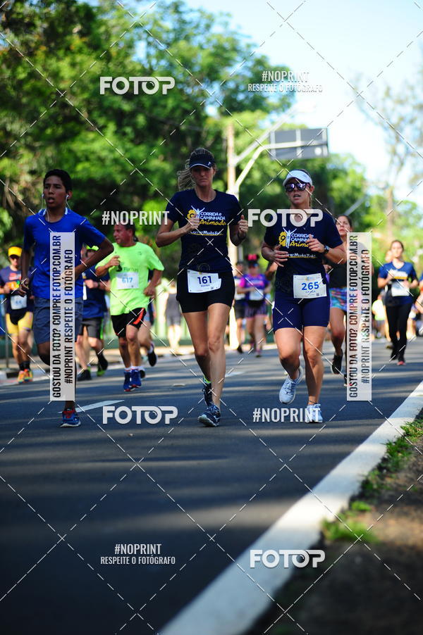 Buy your photos of the event9 Corrida e Caminhada Animada Hospitalhaos on Fotop