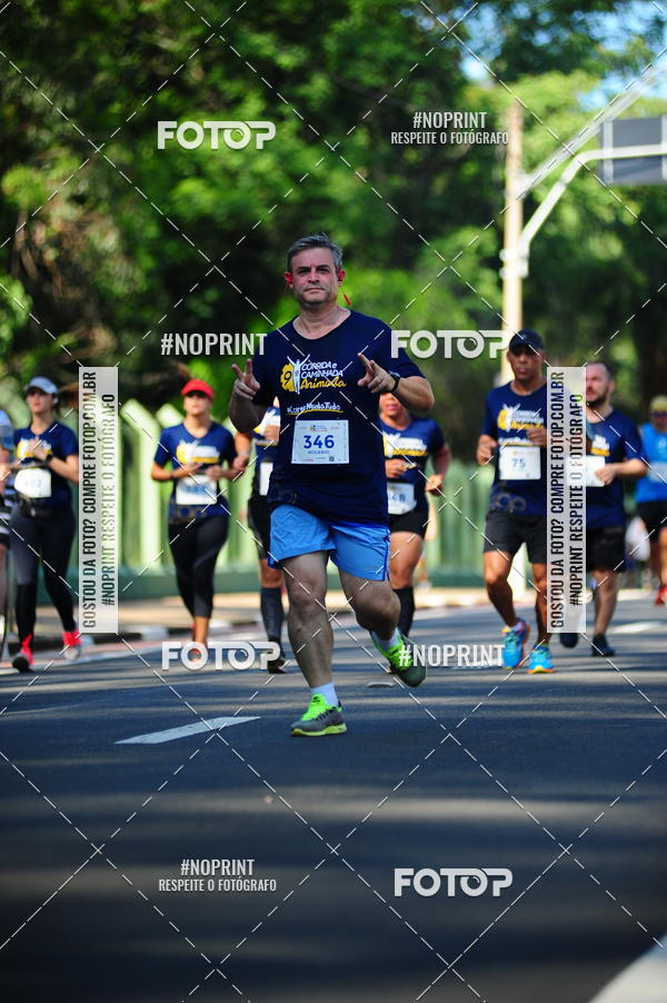Buy your photos of the event9 Corrida e Caminhada Animada Hospitalhaos on Fotop