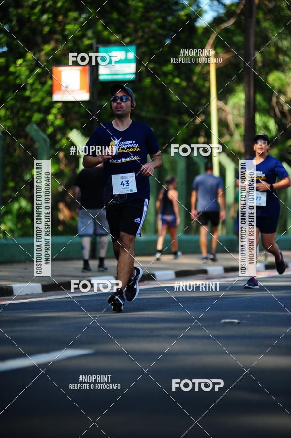 Buy your photos of the event9 Corrida e Caminhada Animada Hospitalhaos on Fotop