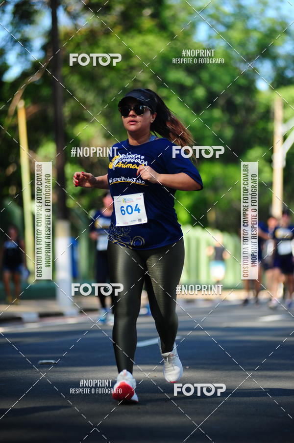 Buy your photos of the event9 Corrida e Caminhada Animada Hospitalhaos on Fotop