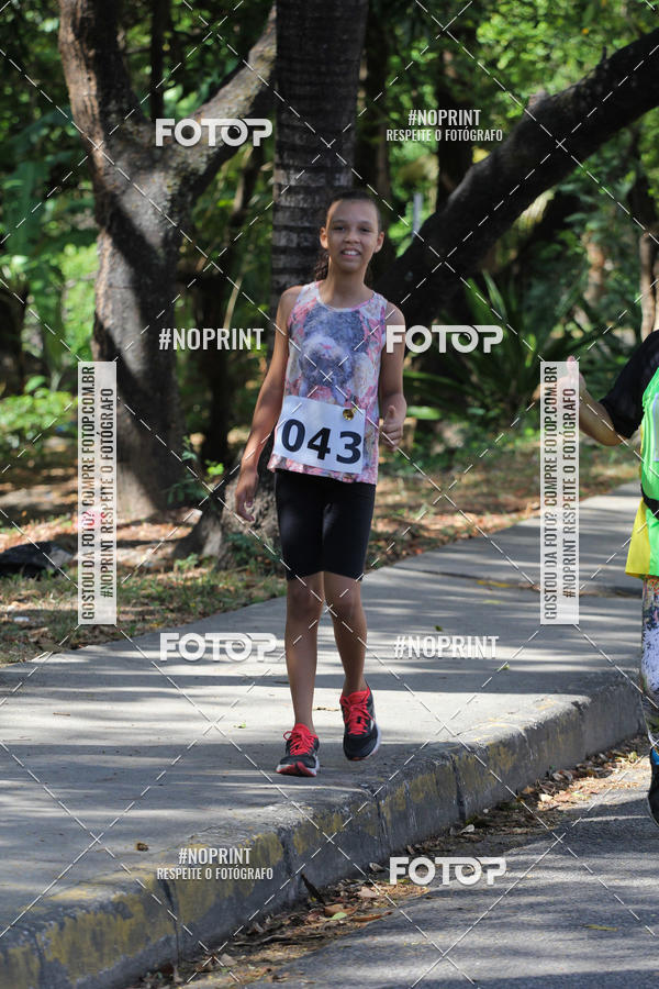 Buy your photos of the eventXII CICORRE / XXXVI Corrida dos Sinos - Parque da Jaqueira - Recife on Fotop