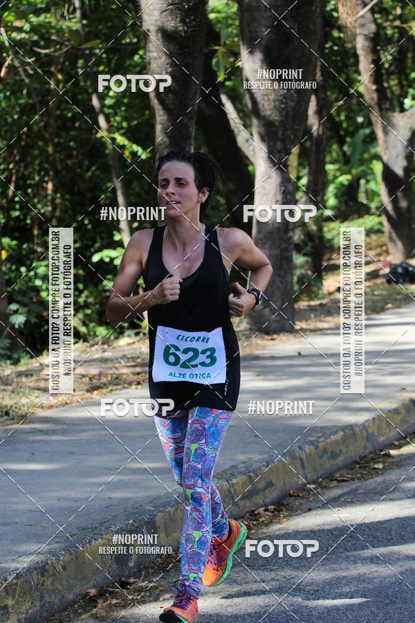 Buy your photos of the eventXII CICORRE / XXXVI Corrida dos Sinos - Parque da Jaqueira - Recife on Fotop