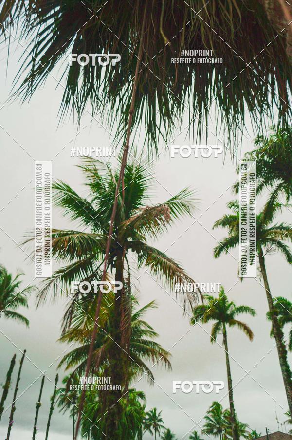 Buy your photos of the eventSPEED MAN - 2019 on Fotop