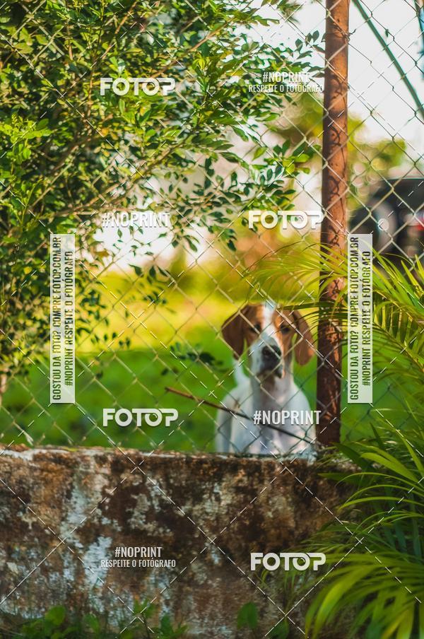 Buy your photos of the eventSPEED MAN - 2019 on Fotop