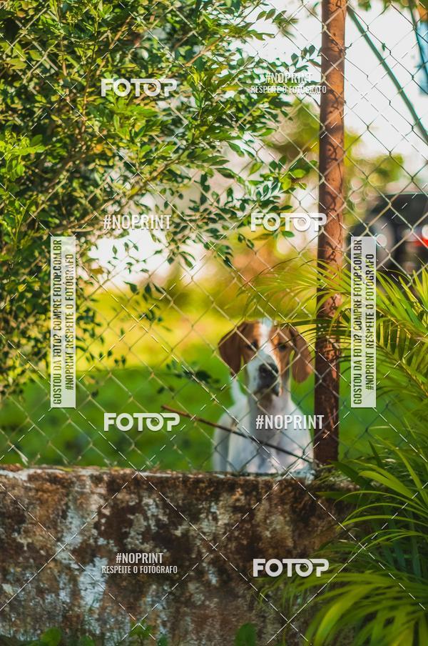 Buy your photos of the eventSPEED MAN - 2019 on Fotop