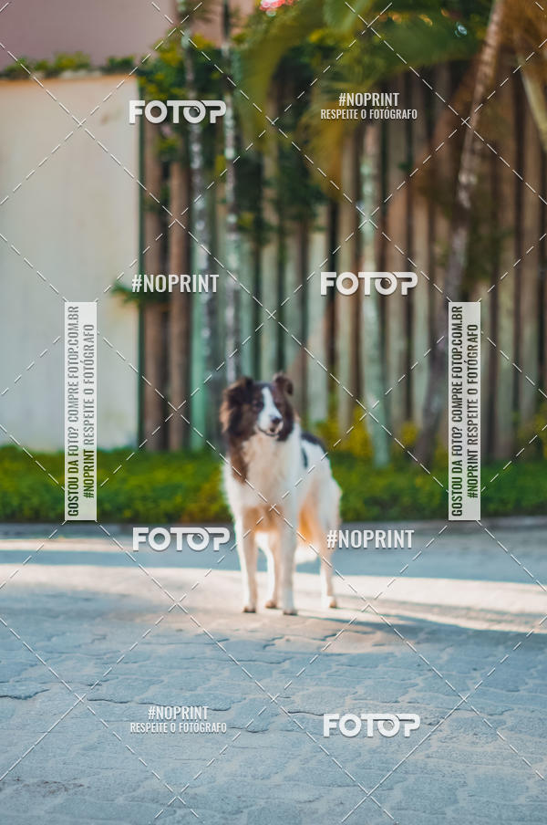 Buy your photos of the eventSPEED MAN - 2019 on Fotop