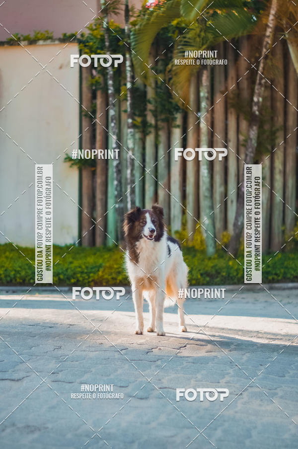 Buy your photos of the eventSPEED MAN - 2019 on Fotop