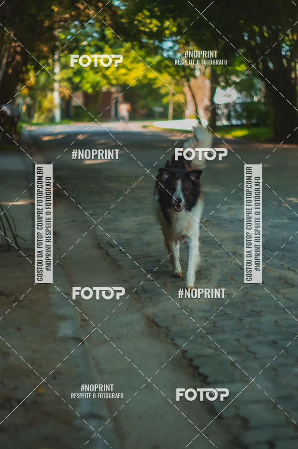 Buy your photos of the eventSPEED MAN - 2019 on Fotop