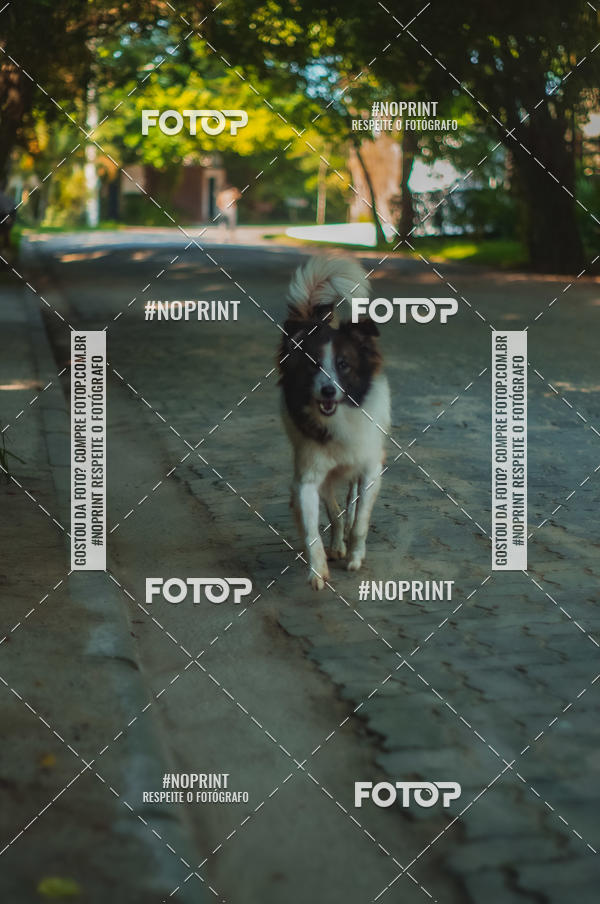 Buy your photos of the eventSPEED MAN - 2019 on Fotop