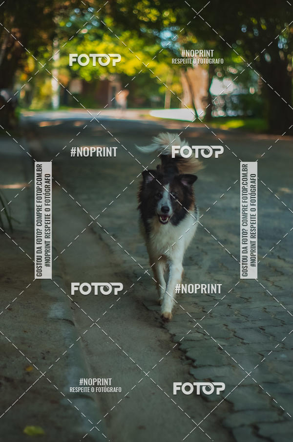 Buy your photos of the eventSPEED MAN - 2019 on Fotop