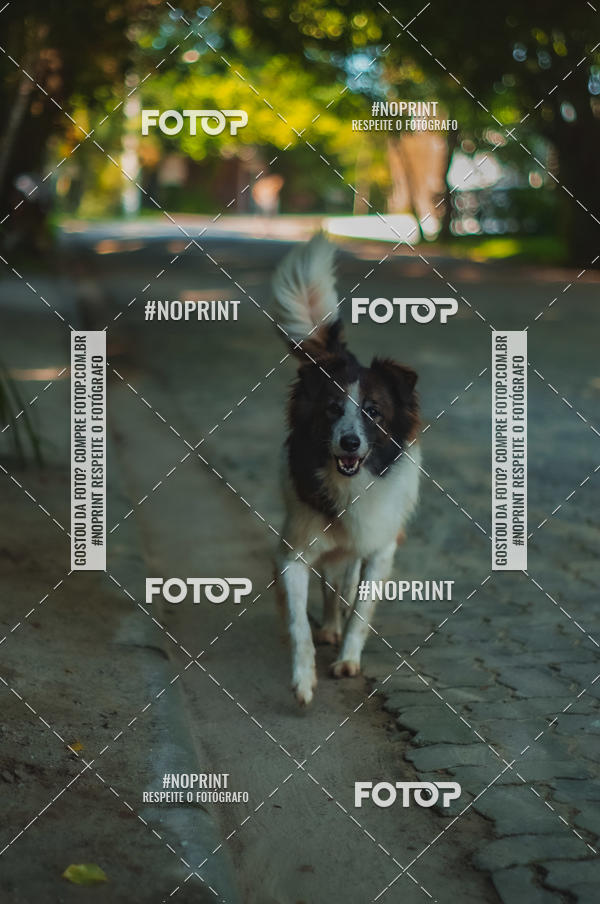 Buy your photos of the eventSPEED MAN - 2019 on Fotop