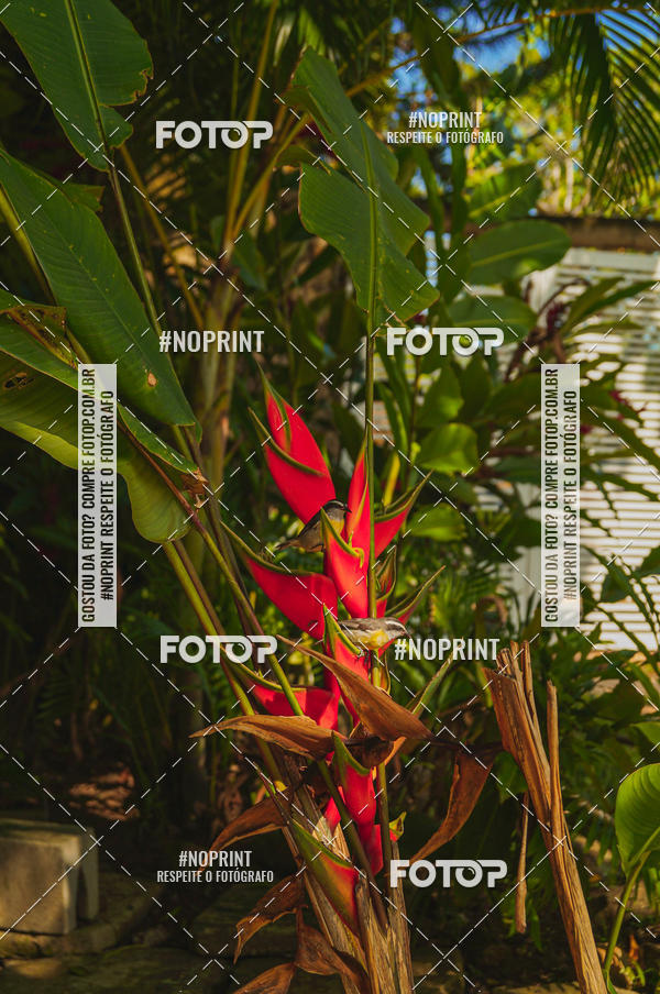 Buy your photos of the eventSPEED MAN - 2019 on Fotop