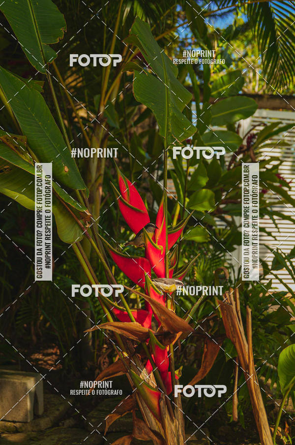 Buy your photos of the eventSPEED MAN - 2019 on Fotop