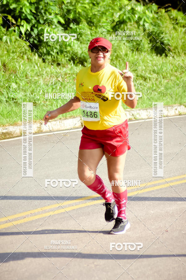 Buy your photos of the event1a Corrida pela Vida 2019 on Fotop