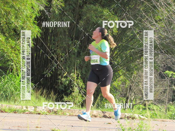 Buy your photos of the event1a Corrida pela Vida 2019 on Fotop