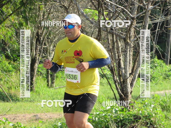 Buy your photos of the event1a Corrida pela Vida 2019 on Fotop