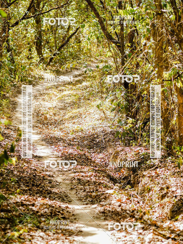 Buy your photos of the event2 mtb  short track Asfaltozero Out/2019 on Fotop